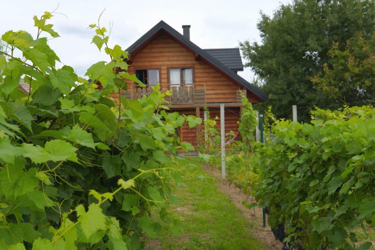 Vila Dom Pachnacy Zywica Bochnia Exteriér fotografie