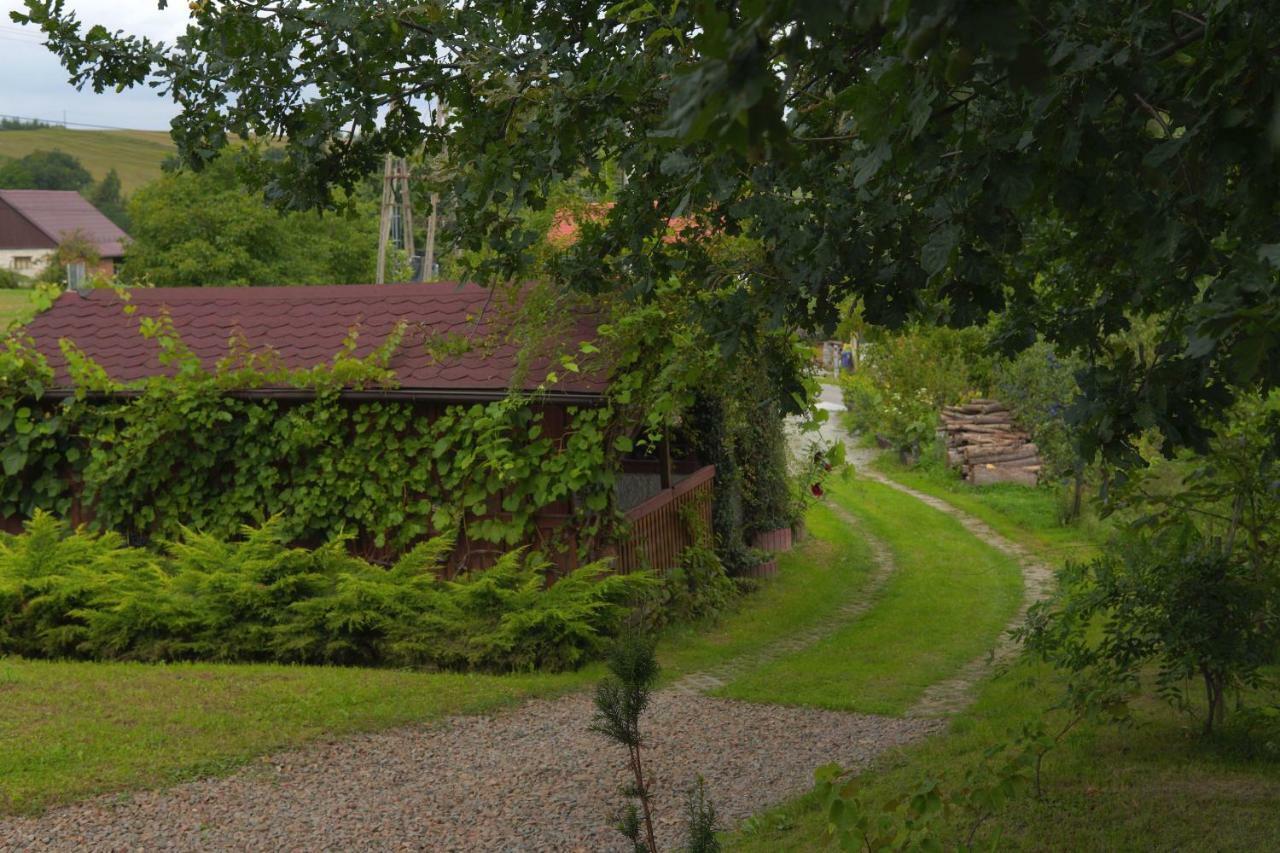 Vila Dom Pachnacy Zywica Bochnia Exteriér fotografie